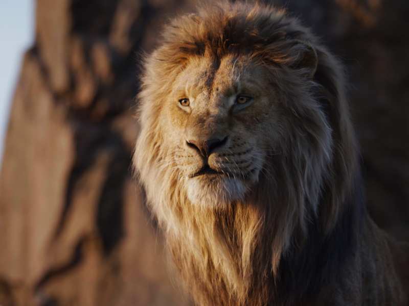 Mufasa: El Rey León